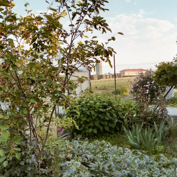 MangiaBin Elemento 19