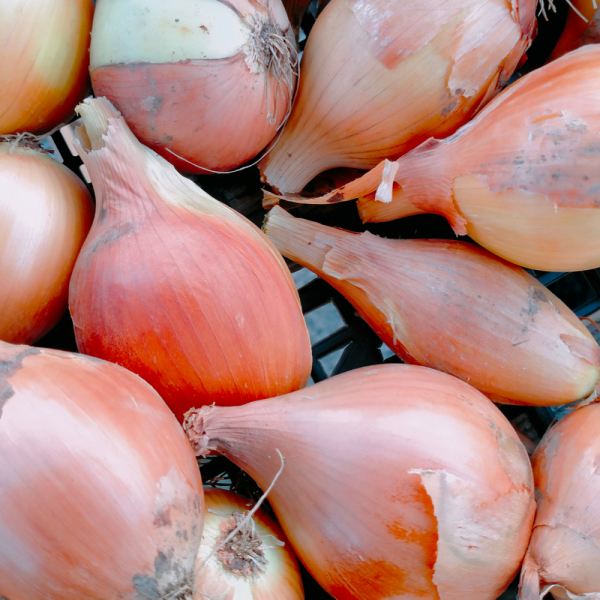 MangiaBin Elemento 8