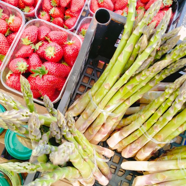 MangiaBin Elemento2 4