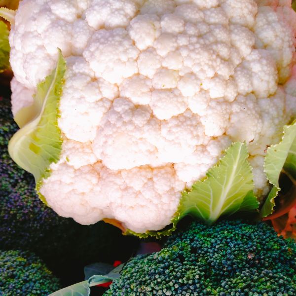 MangiaBin Elemento2 9